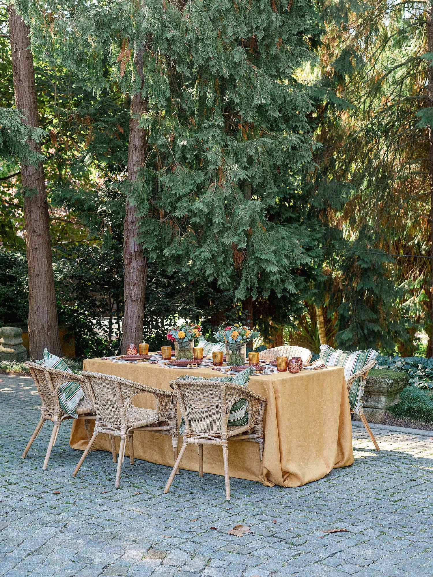 Gotas Beige & Terracotta Napkins (Set of 4)