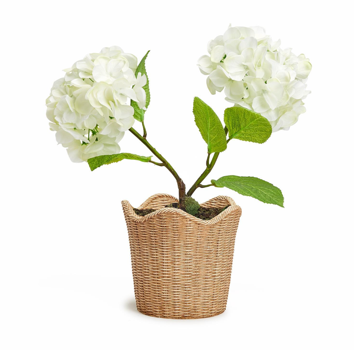 Basket Weave Cachepot