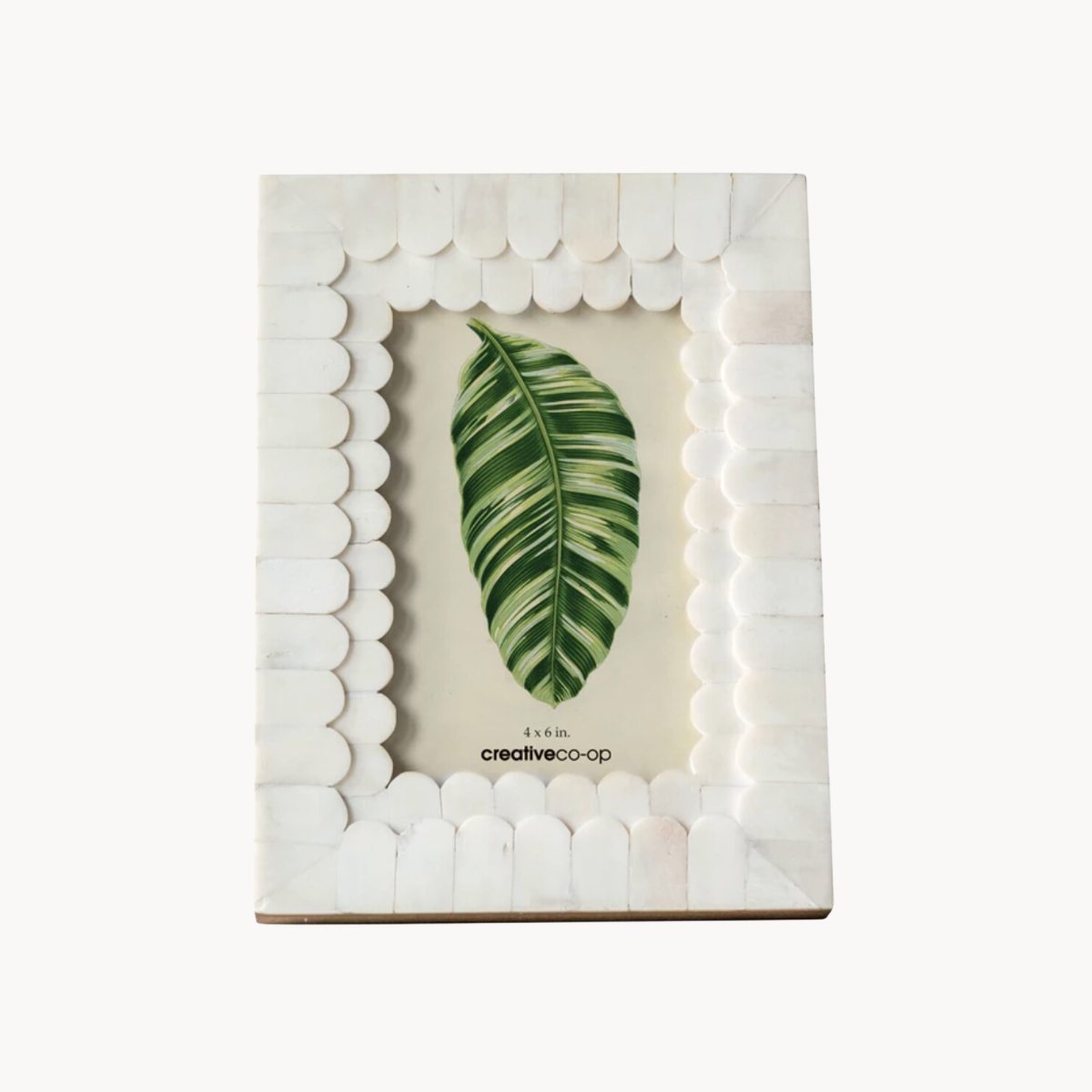 4x6 Bone Picture Frame
