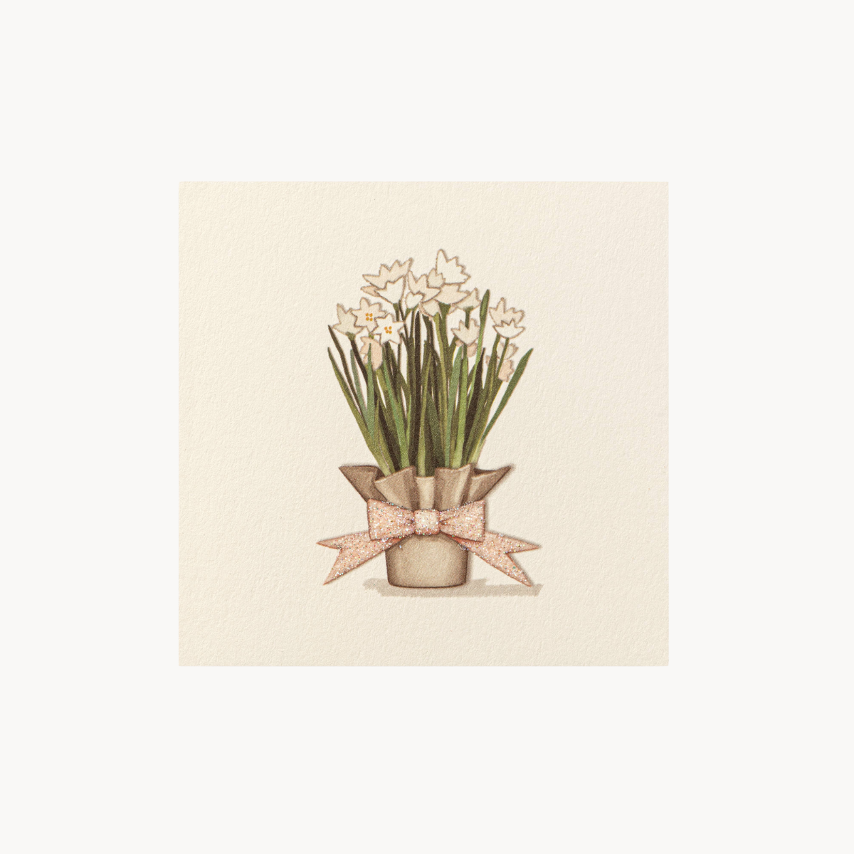 Paperwhites Individual Gift Enclosure