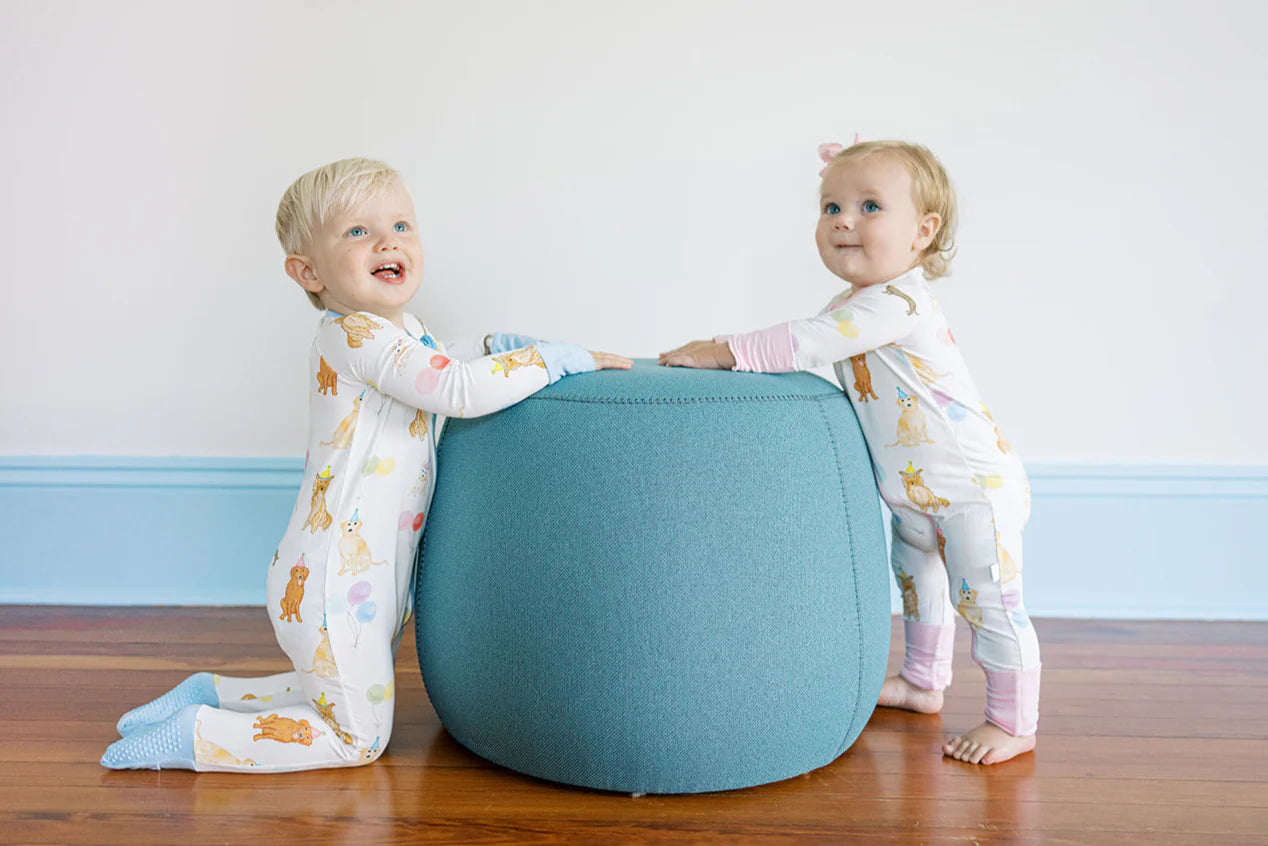 Dog Party 2 Piece Pajama Pink