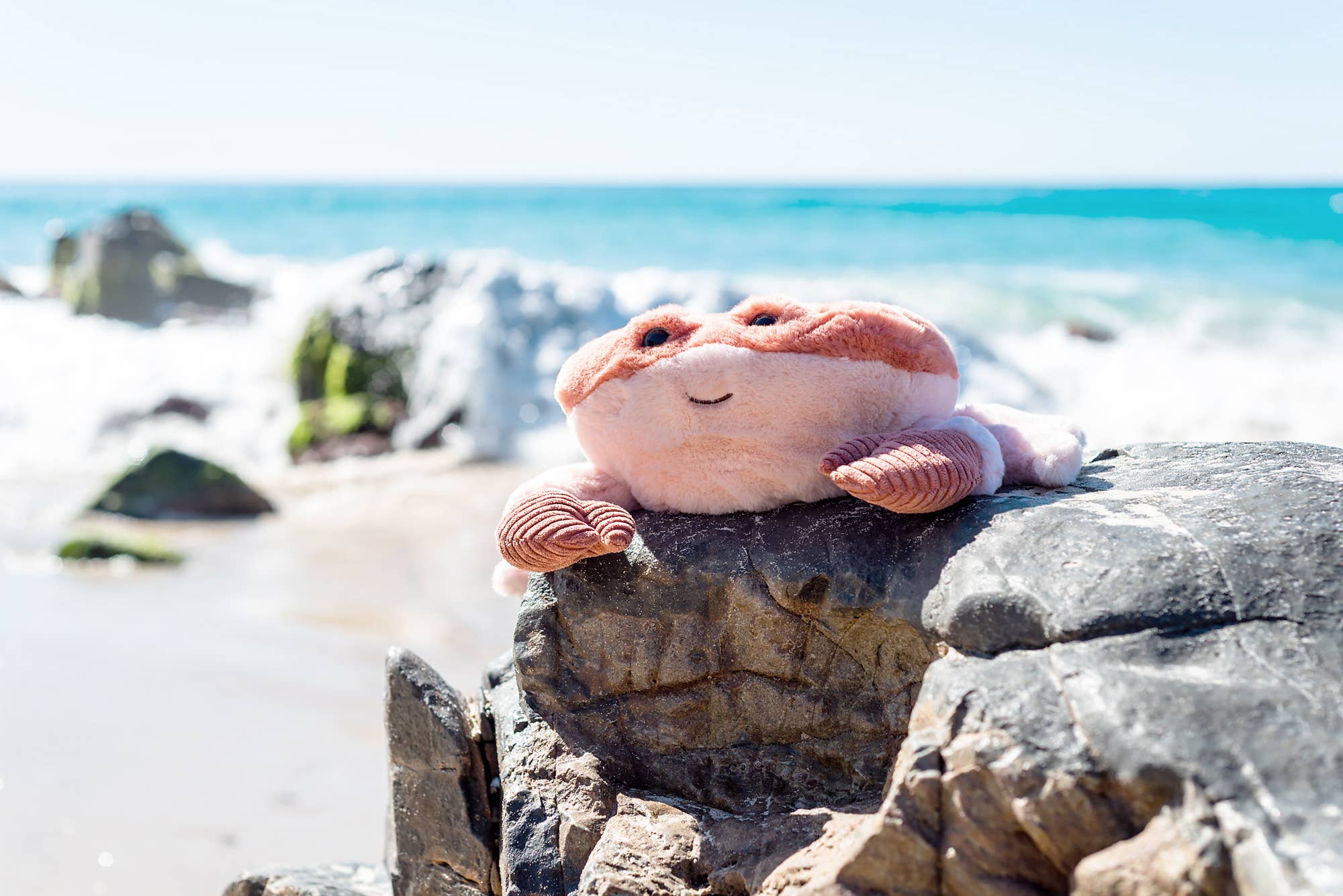Kenzo Crab Soft Toy