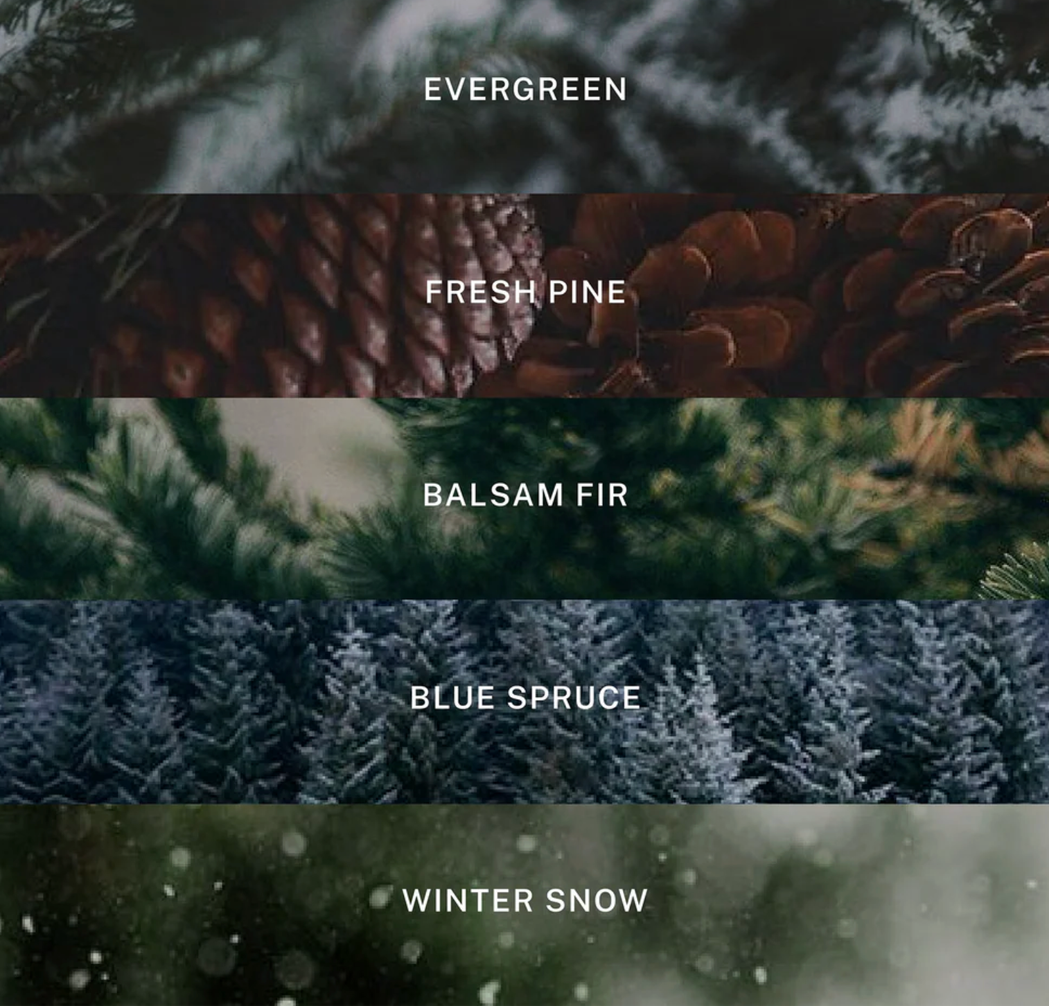 HOTEL LOBBY Holiday Candle