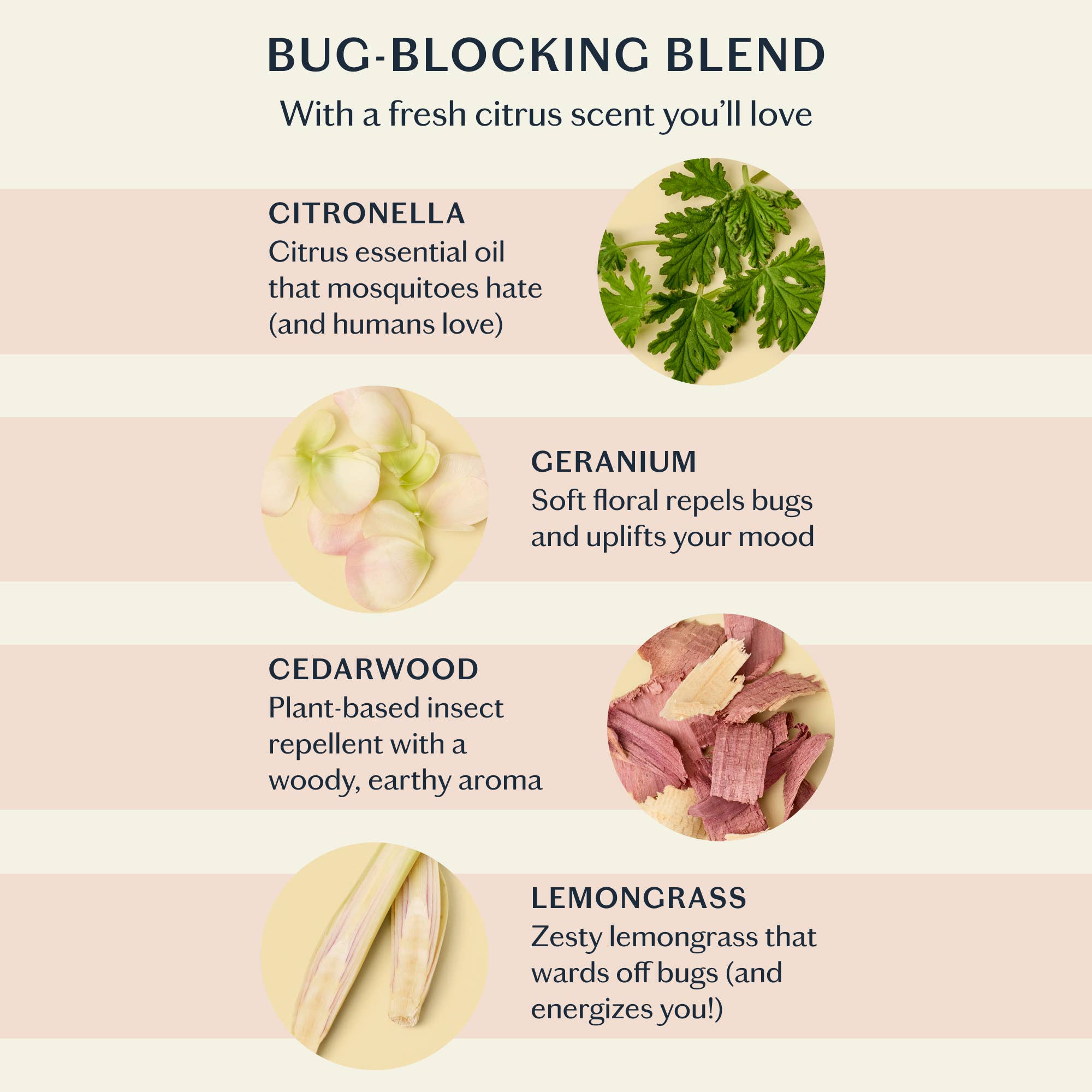 The Bug Balm